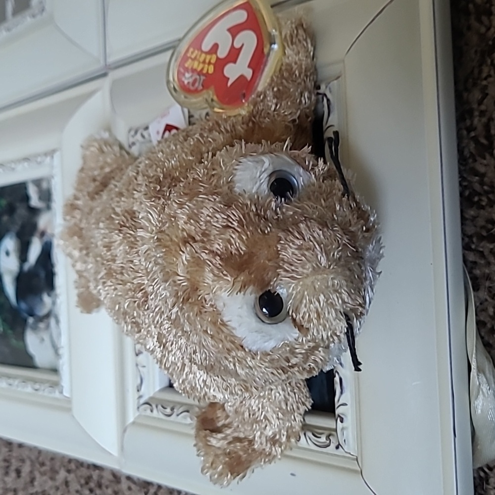TY Beanie Baby Fins - Picture 1 of 6